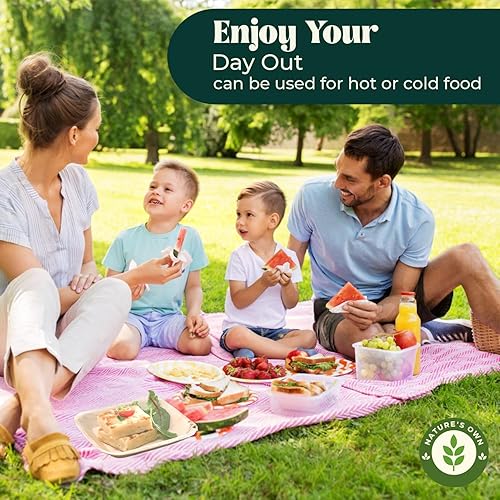 Miniatura 8 de Nature's Own Paquete de platos de hoja de palma como platos de bambú, 50 unidades (10 pulgadas), plato cuadrado desechable, compostable, ecológico y