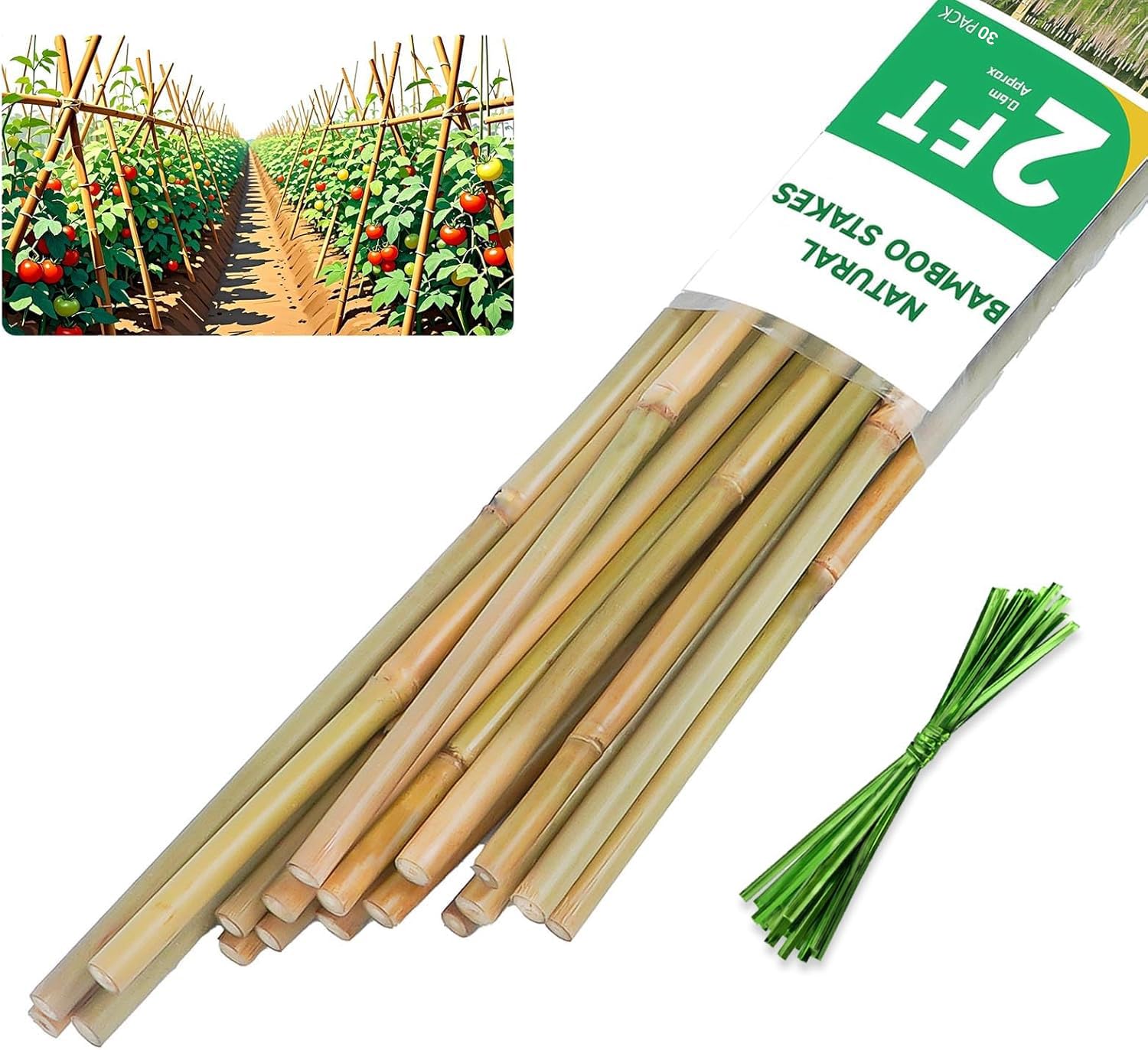 Natürliche Bambus-Pflanzstäbe für Tomaten, Bohnen, Blumen, Topfpflanzen, Kletterpflanzen, 25 Stück