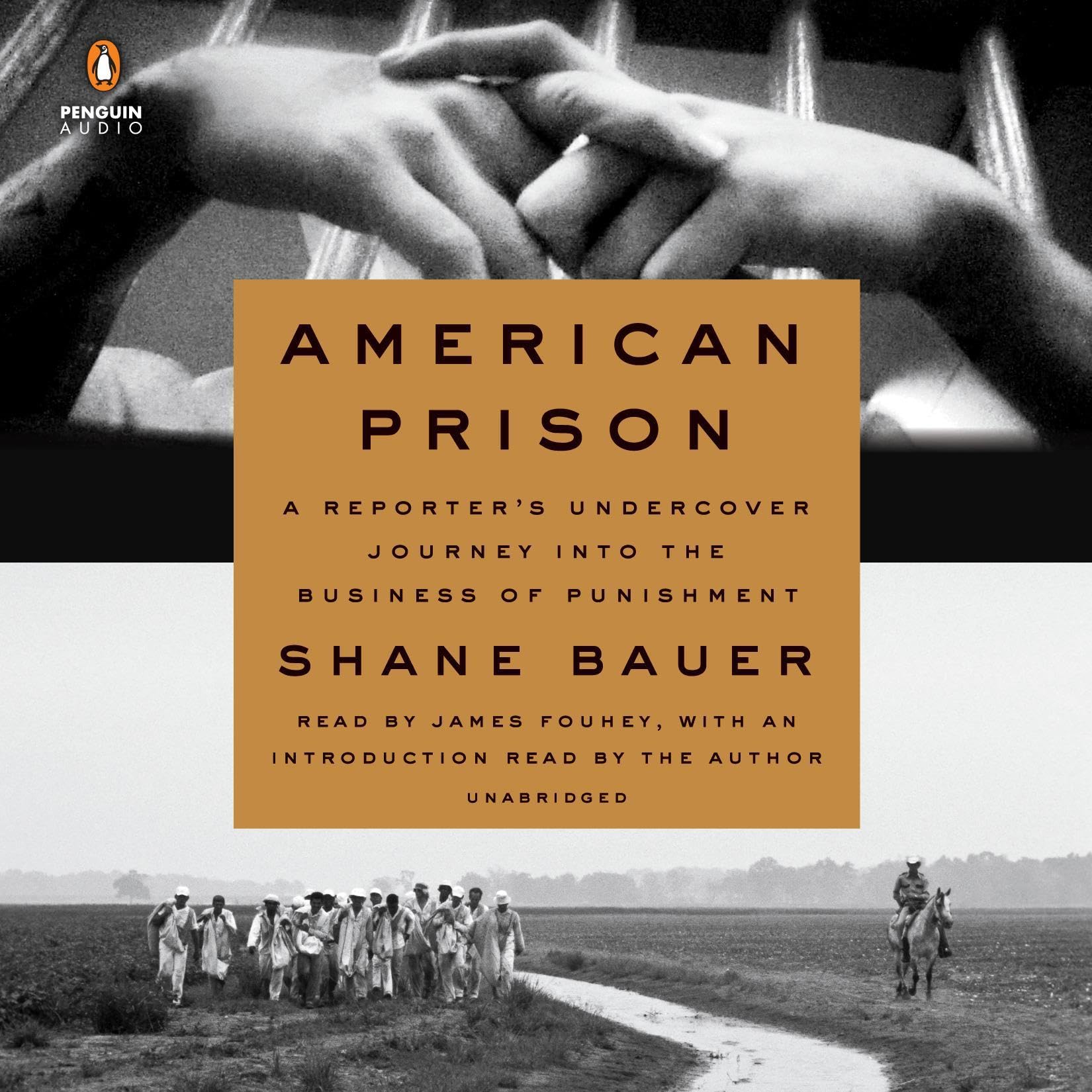 Cover art for American Prison
