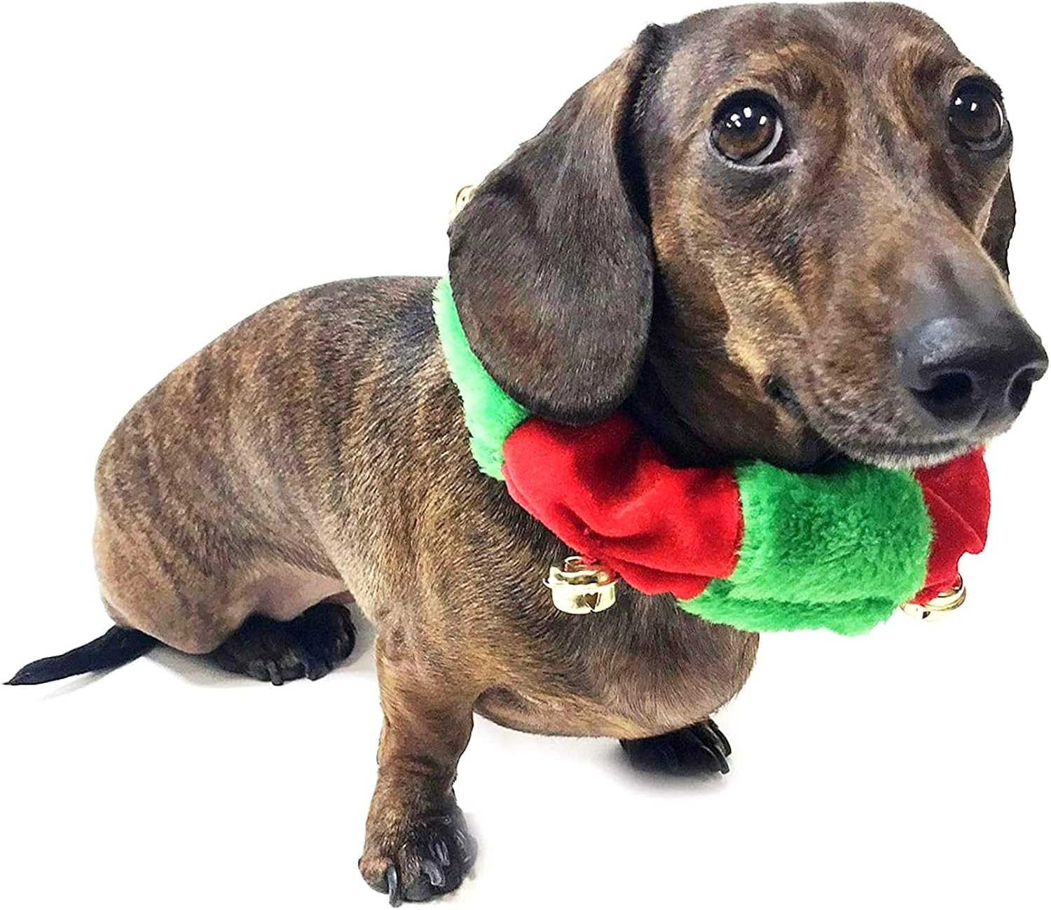 Midlee Red/Green Christmas Plush Bell Collar (Small)