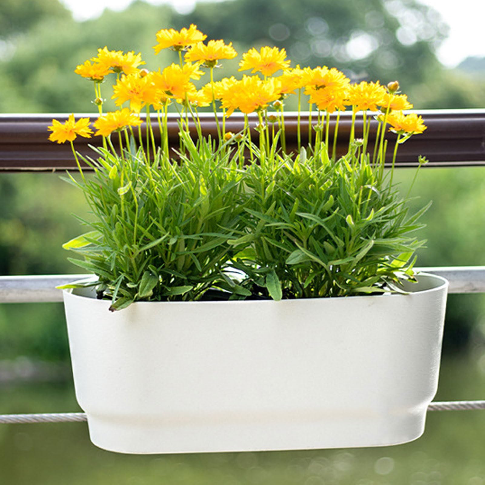 Buachois Pots de Fleurs Suspendus pour Balcon et Fenêtre, Support de Plantes pour Balustrade avec Système de Drainage 45x18x16 cm pour Jardinage Extérieur et Intérieur (Blanche)
