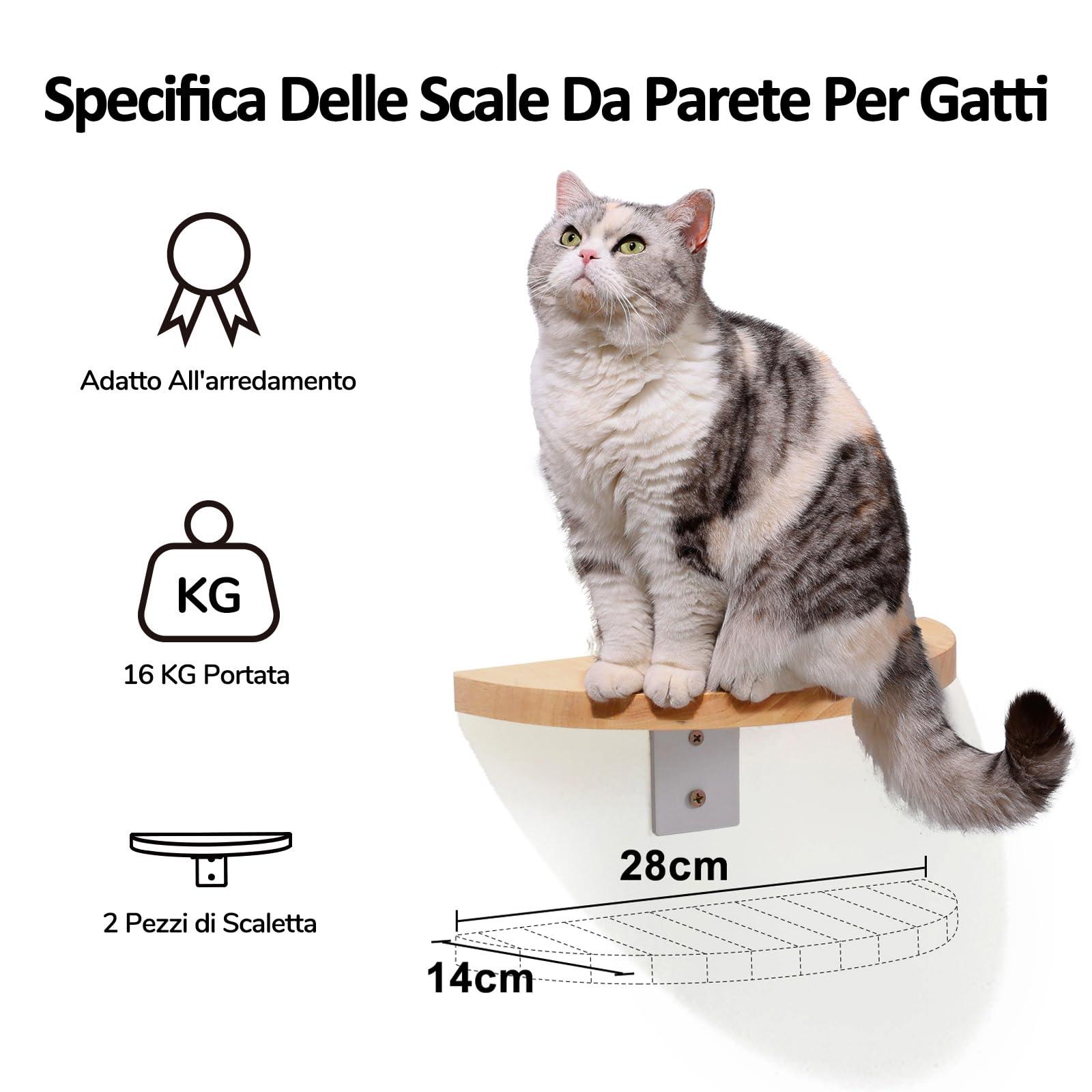 FUKUMARU Kit Parete per Gatti, Mensole da parete in Legno Massello, Cuccia a Capsula Trasparente, 2 Ripiani per Arrampicata, Spazio Multifunzionale per Scalare e Riposare. Portata 16KG.