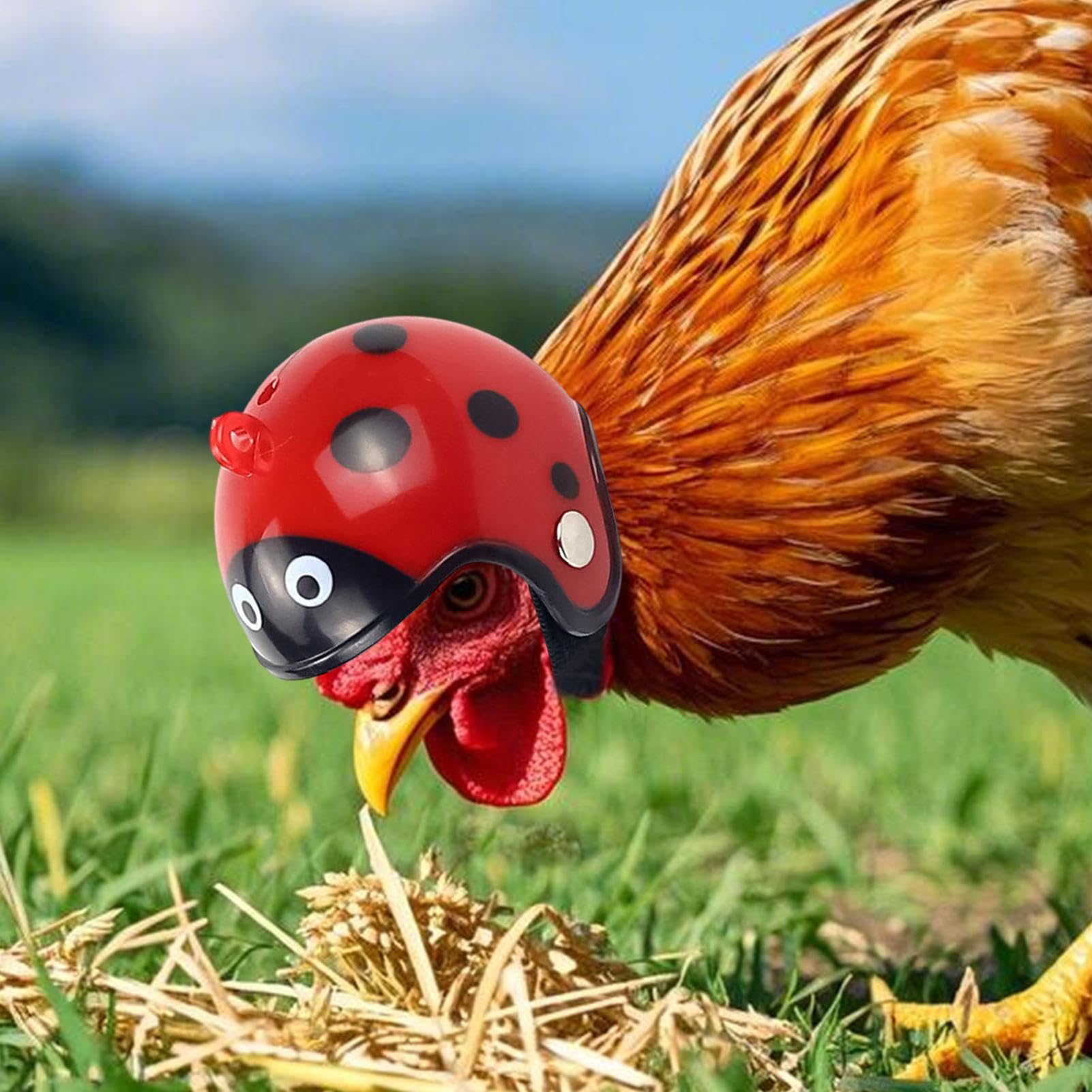 Cappello di pollo per galline - Funny Chicken Hard Hat con cinturino, casco per copricapo | Coppia di sicurezza della gallina leggera per il parrocchetto per pappagalli di uccelli, tappo per costumi p