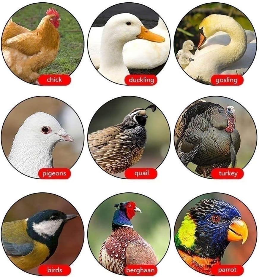 112 Digital Egg Incubator Automatic Turning Large Poultry Hatcher Temperature and Humidity Control Brooder for Chickens Ducks Goose Birds