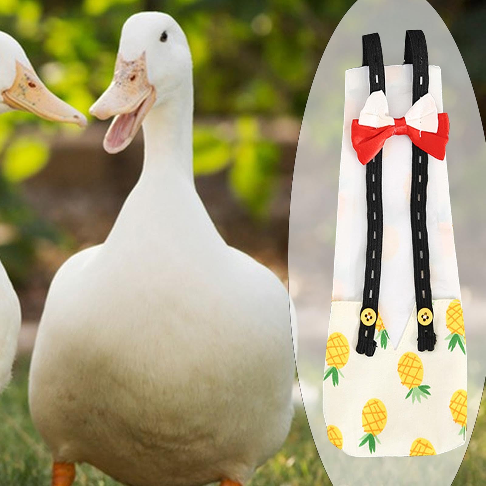 View 6