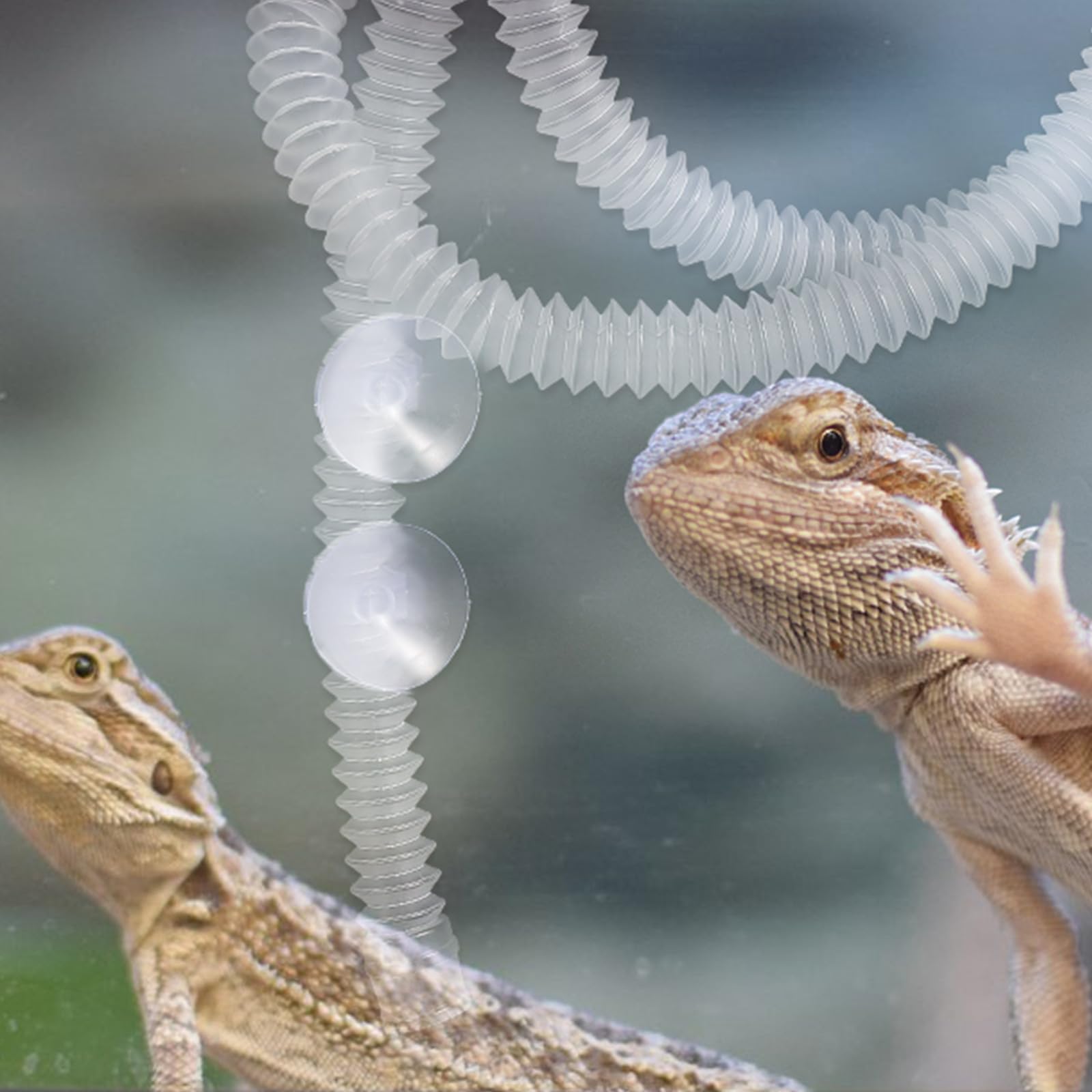 DOITOOL Tubo Flexible del Humidificador Terrario para Reptiles y Recipientes de Vidrio, con Ventosa Estable, Manguera Extensible de Plástico Reutilizable