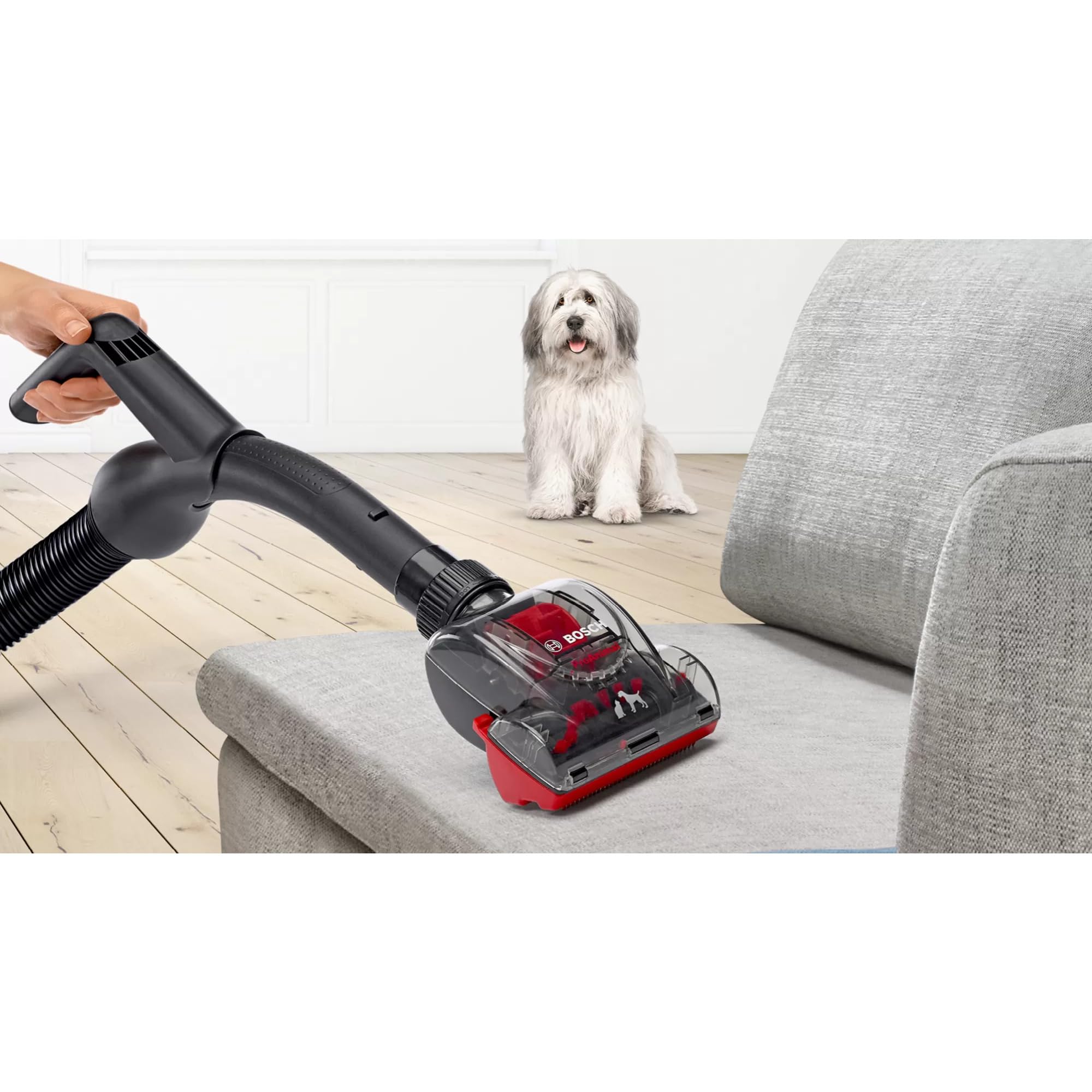 Bosch Aspirapolvere senza sacchetto serie 6 BGC41PET, ideale per peli di animali e persone allergiche, filtro igienico, garanzia motore 10 anni, per parquet, tappeti, piastrelle, ugello turbo