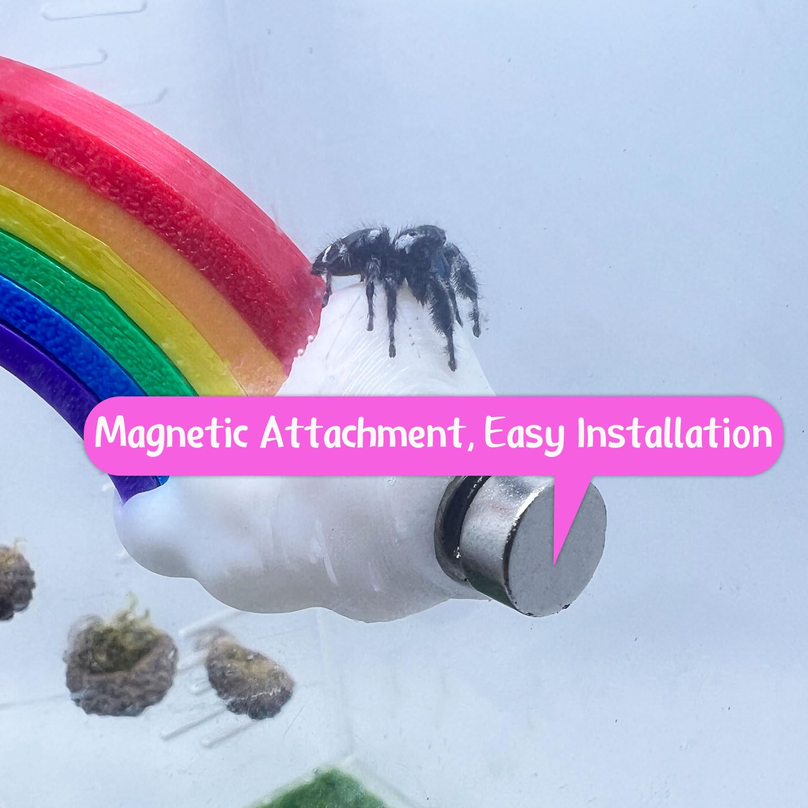 Springende Spinne Versteck – Regenbogenbrücke Mit Magneten, 3D-gedruckte Kletterplattform Für Terrarien, Für Kleine Spinnen, Als Zubehör Für Das Spinnenterrarium Springende Spinne Versteck – Regenbogenbrücke Mit Magneten, 3D-gedruckte Kletterplattform Für Terrarien, Für Kleine Spinnen, Als Zubehör Für Das Spinnenterrarium