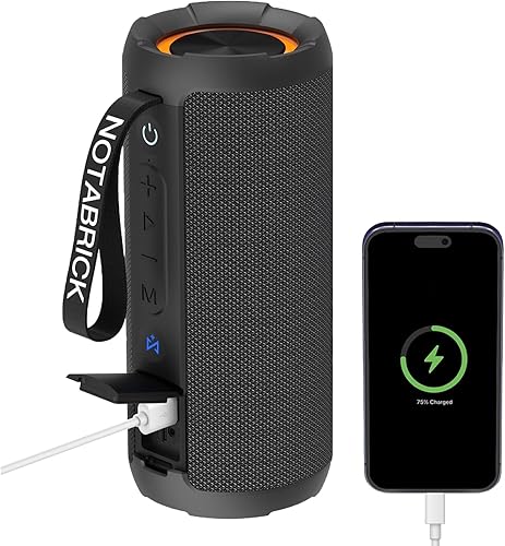 NOTABRICK Altavoces Bluetooth, altavoz DSP de 40 W inalámbrico con luz, altavoz impermeable IPX7, graves profundos, banco de energía, TFAUXUSB, para