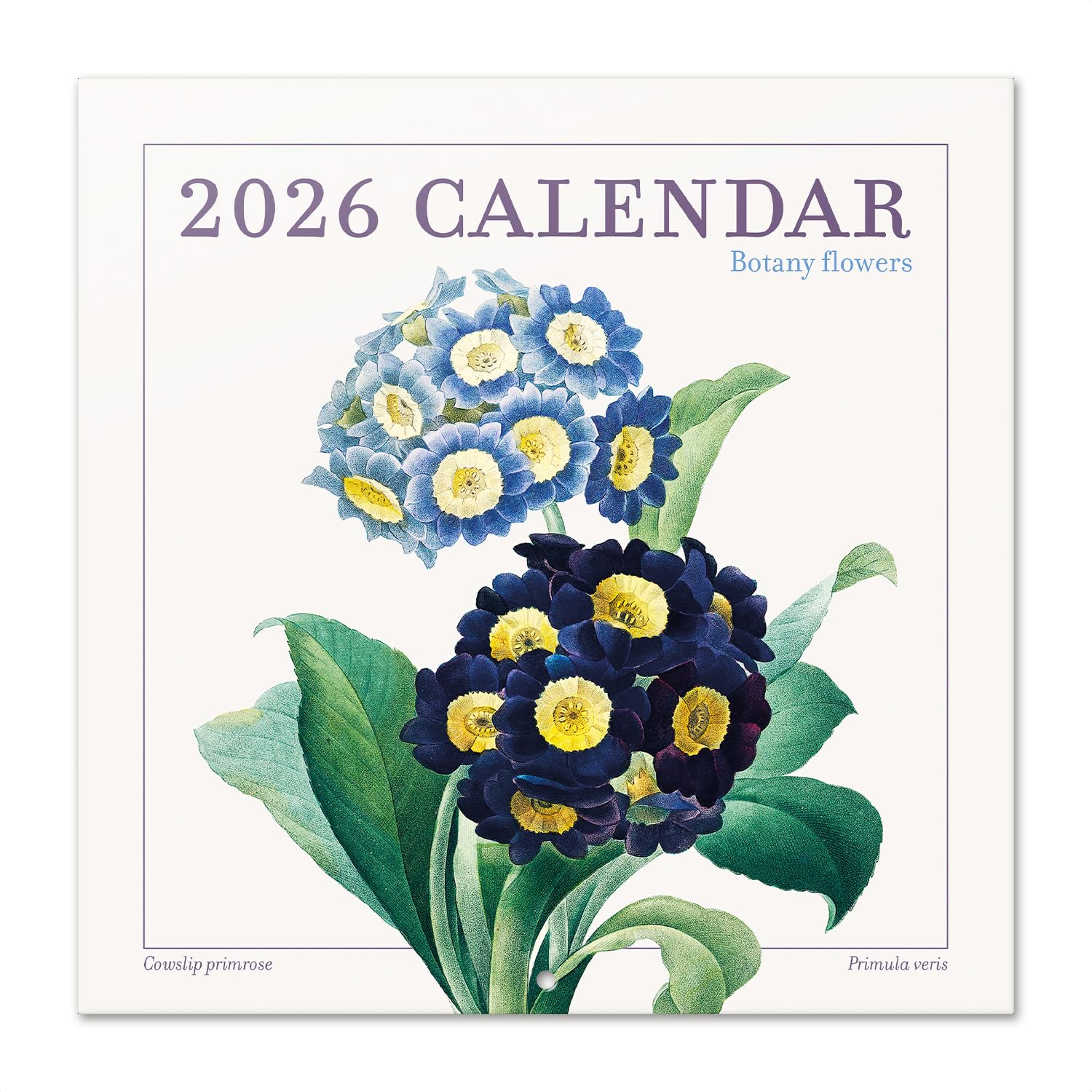 Botanical Wall Calendar 2026 12" x 12" FSC® Plastic Free - Starts Week On Sunday | Family Planner Flowers Calendar 2026