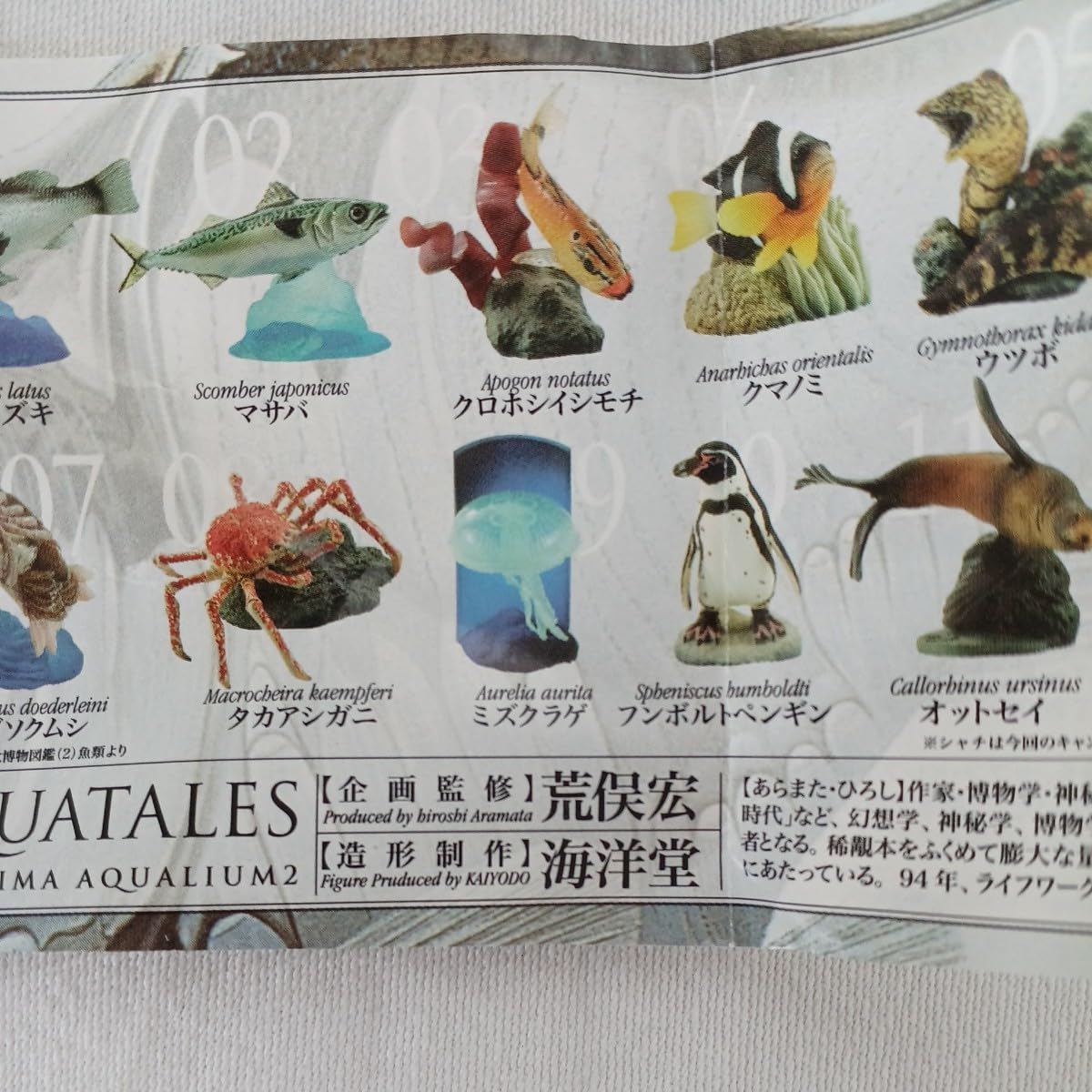 海洋堂 荒俣宏 新江ノ島水族館への誘い 15種セット 新品未開封品 Amazon.co.jp: 海洋堂 新江ノ島水族館への誘い2 荒俣宏 フィギュア 3