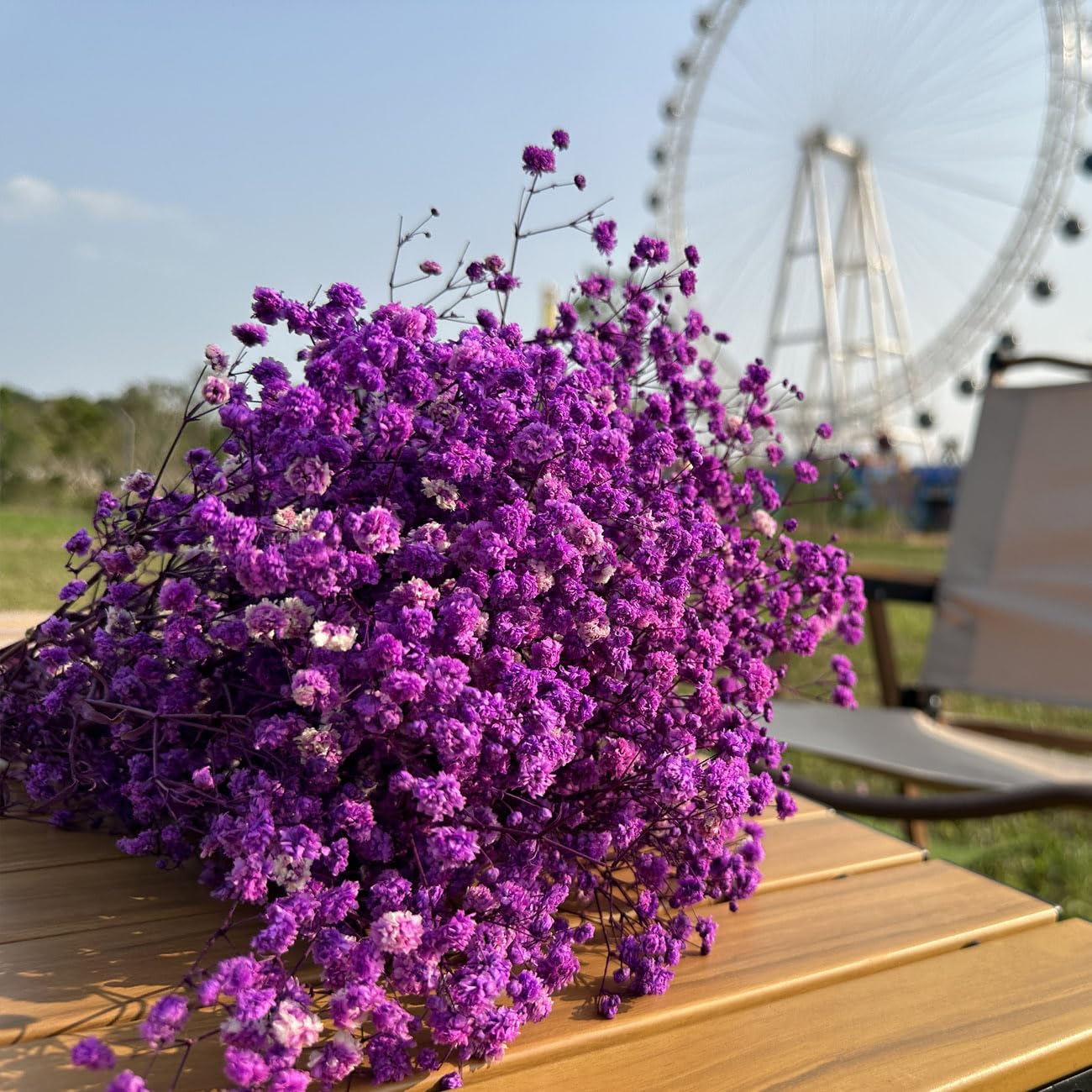 Viola Gypsophila Essiccata, 43cm Naturale Fiori Secchi stabilizzata Oltre 3000 Boccioli, Gypsophila Secchi per Matrimonio, Decorazione della Casa, Fai da Te e Partito