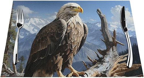 Miniatura 7 de 6 PCS PVC Placemats Set Place Mats A Lone Eagle Non-Slip Weave Place Mats 12" x 18" Farmhouse Table Mat Set for Family Dinners Wedding Parties