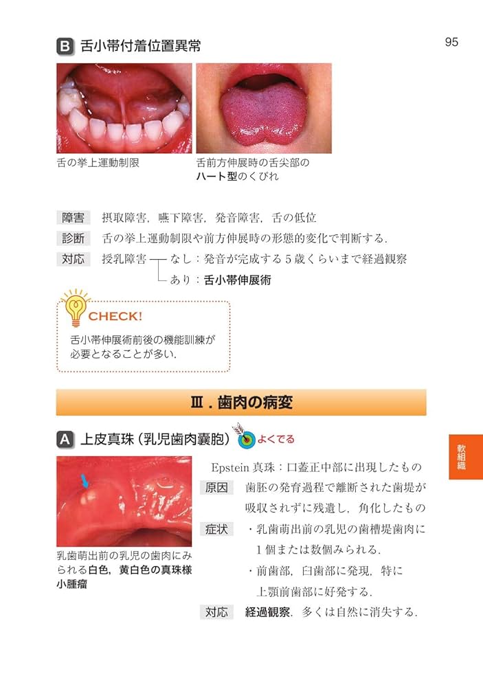 口腔外科（第四版） 最新口腔外科学 第5版 Oral and Maxillofacial Surgery | 榎本
