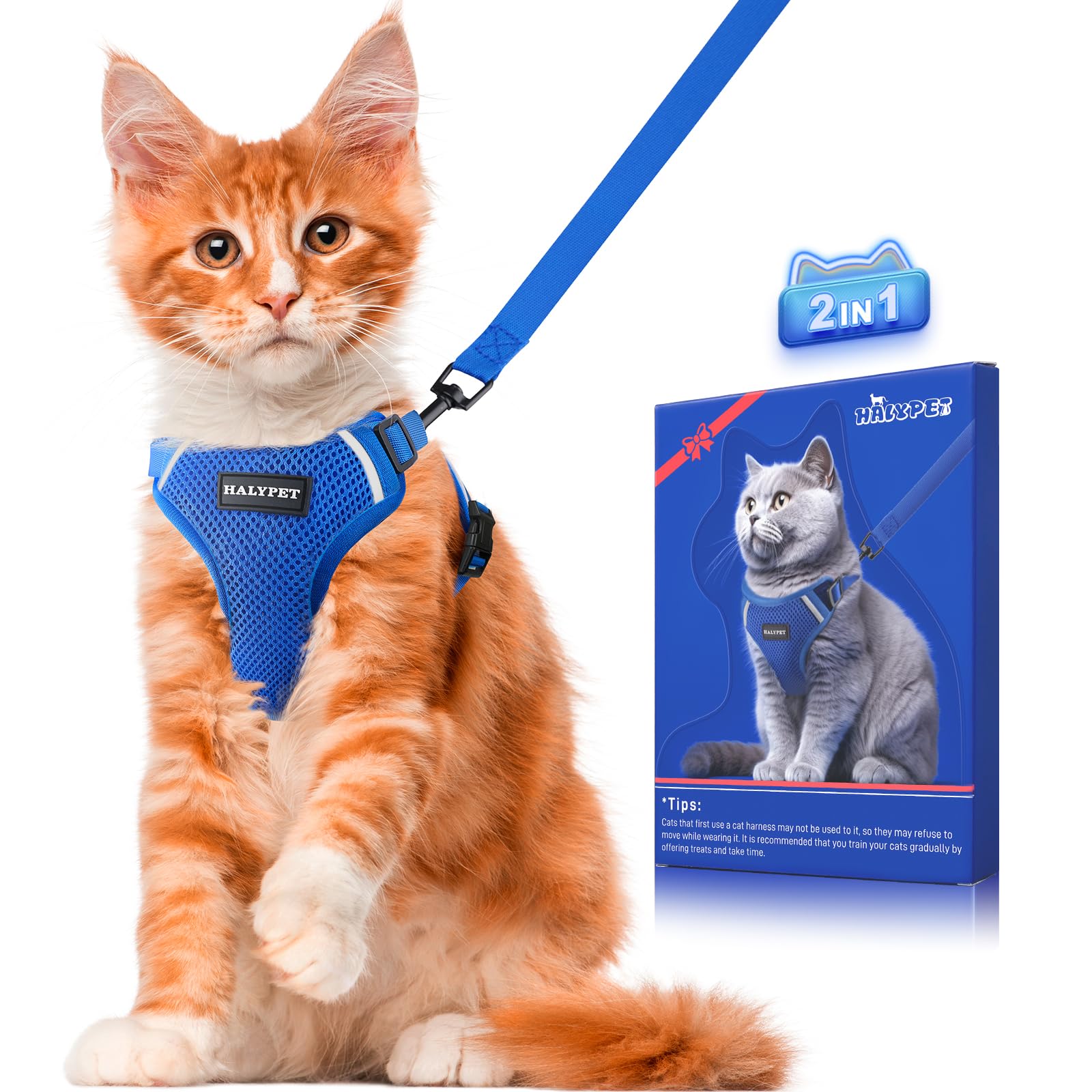 Catloveページ Soft Cat Harness Rabbitgoo Cat Harness And Leash For Walking