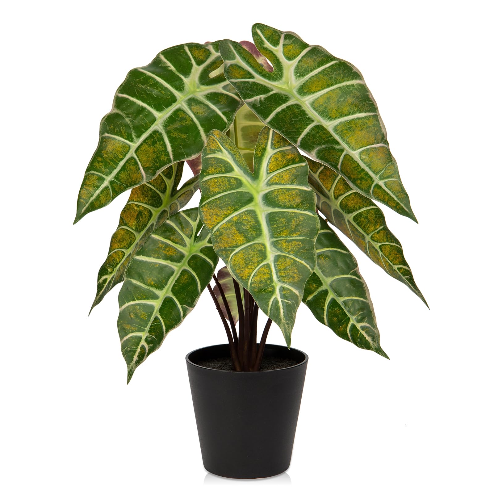Amazon.de: Briful Kunstpflanze Calathea Knstliche Dekopflanze Zebrina  Alocasia Sanderiana Dekorative Real-Touch Kunstblumen Wie Echt  Zimmerpflanze in Schwarzem Topf, Hhe 43 cm
