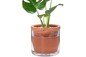 Divine Dev Indoor Self Watering Planter