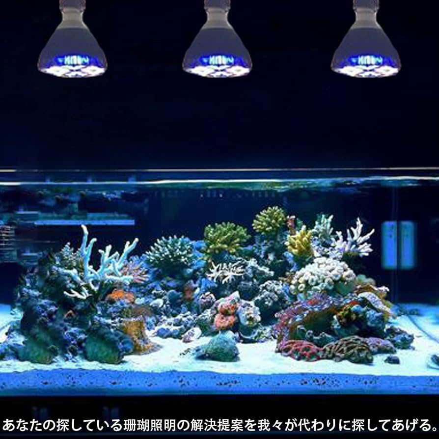 【最終値下げ】【早い者勝ち】マリンアクアリウム LEDスポットライト 最終値下げ】【早い者勝ち】マリンアクアリウム LEDスポットライト