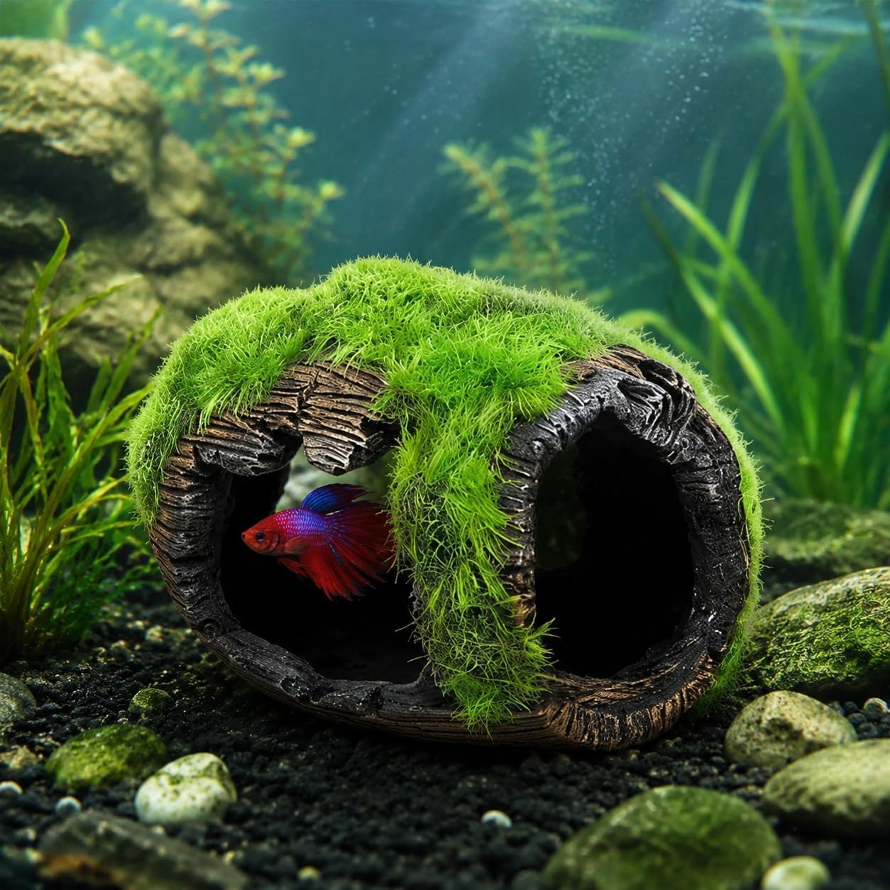 Durable Aquarium Betta Hideout Cave, Lifelike Fish Tank Ornament Accessories for Aquascaping, Multi-Hole Resin Shelter for Small Aquatic Creatures & Freshwater/Saltwater Tanks image 5