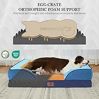 Vista 75 de Comfort Expression - Cama ortopédica para perros extragrandes, 53 x 42 pulgadas, cama impermeable y de apoyo de espuma con cojines removibles