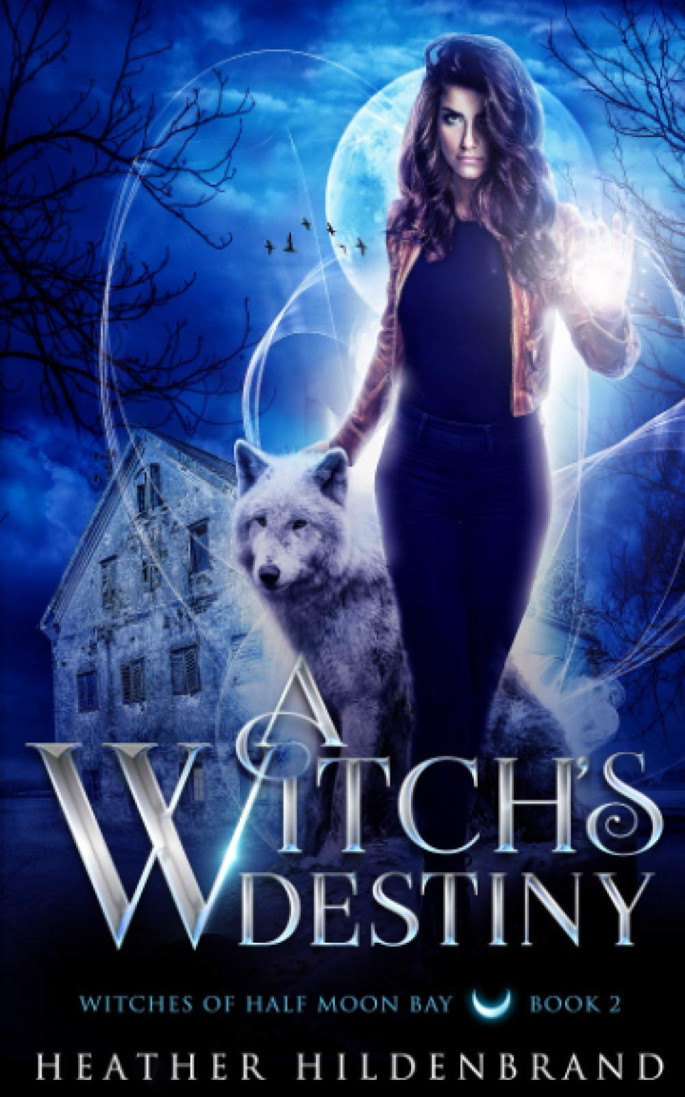 A Witch's Destiny: 2 (Witches of Half Moon Bay)