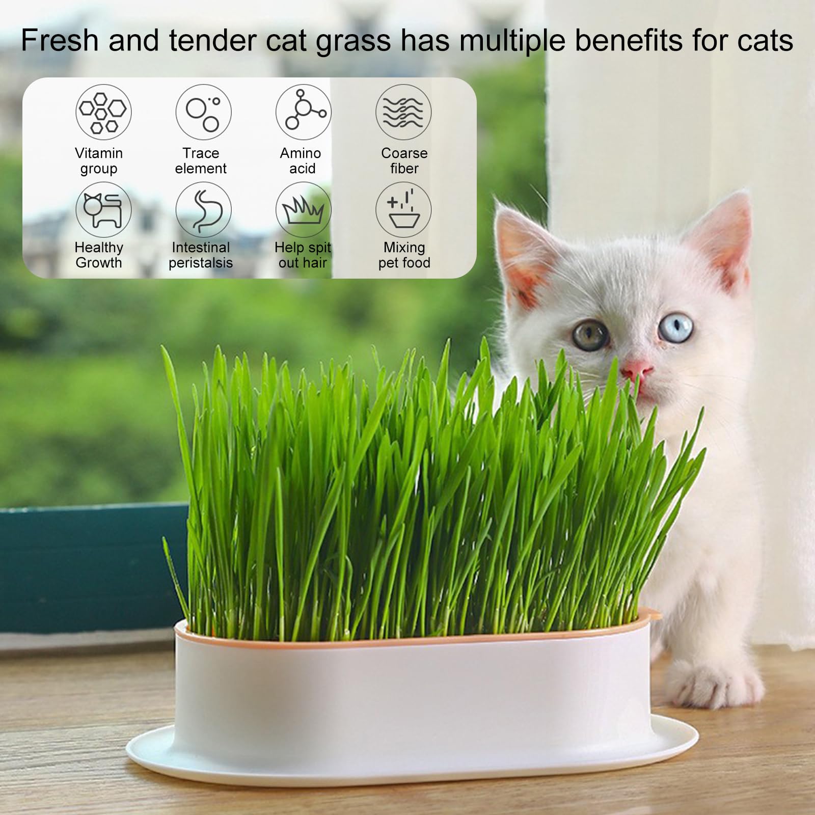 Jardinière D'herbe Pour Chat Pot De Croissance Pour Chat Pot De Croissance Hydroponique Plante D'herbe Pour Chat Plat De Départ De Digestion Serre Boîte De Culture De Plantes Sans Sol (Blanc Poudré