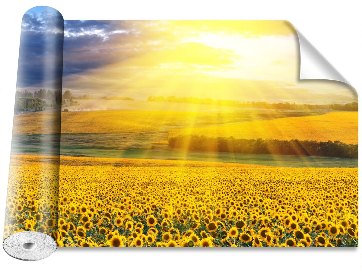 Papier peint tournesol Tulup 152x104cm décor de camouflage mural