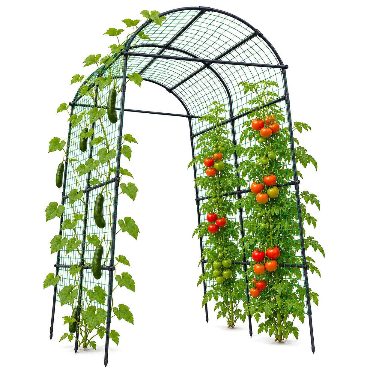 FOLLOOK Garden Arch Trellis