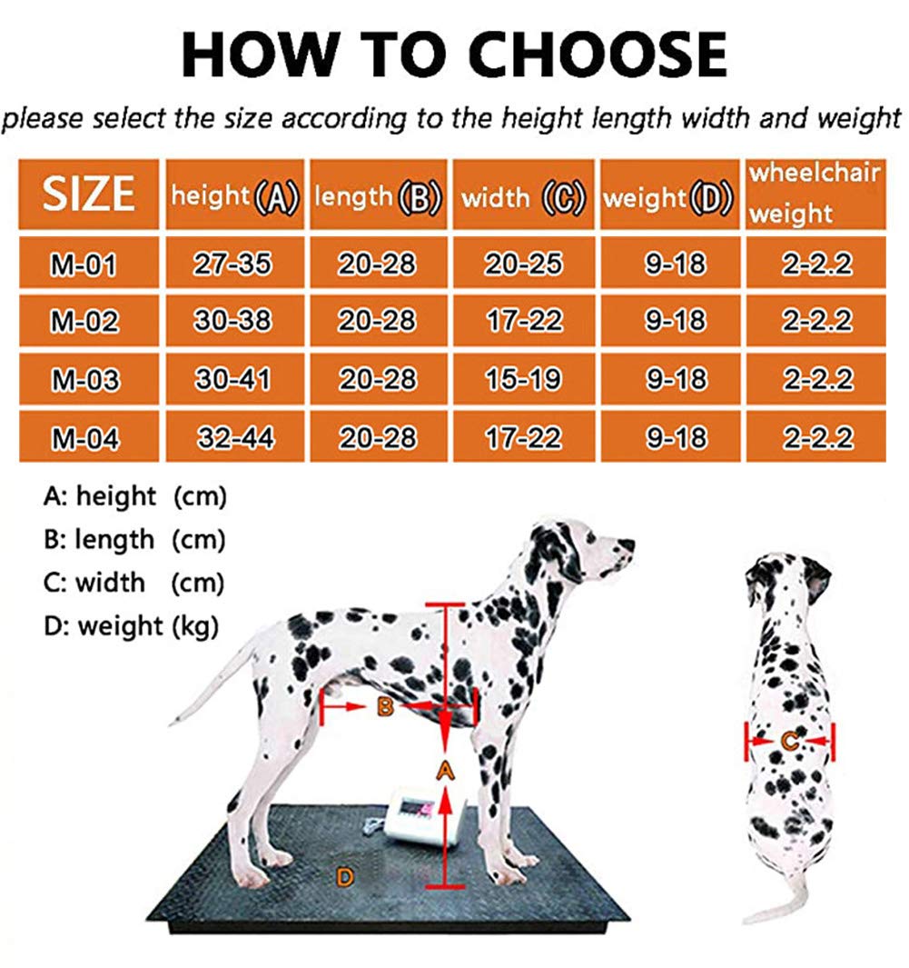 Carrellino per Cani Disabili Piedi/Gambe Posteriori Riabilitazione, Sedia a Rotelle Regolabile per Gatto Coniglio, Carrozzella per Movimento del Cane Anziano, Carrello con 2 Ruote, 9-18kg