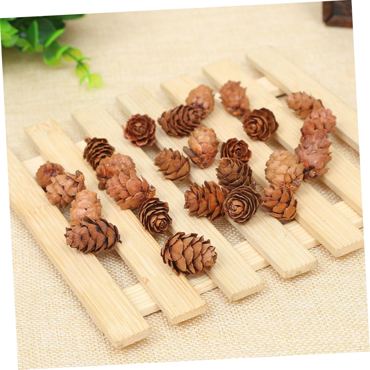 MAGICLULU 210piezas Piñas Naturales Secas de Decoraciones Hogar para Acción de Gracias y Navidad Adorno Vegetal