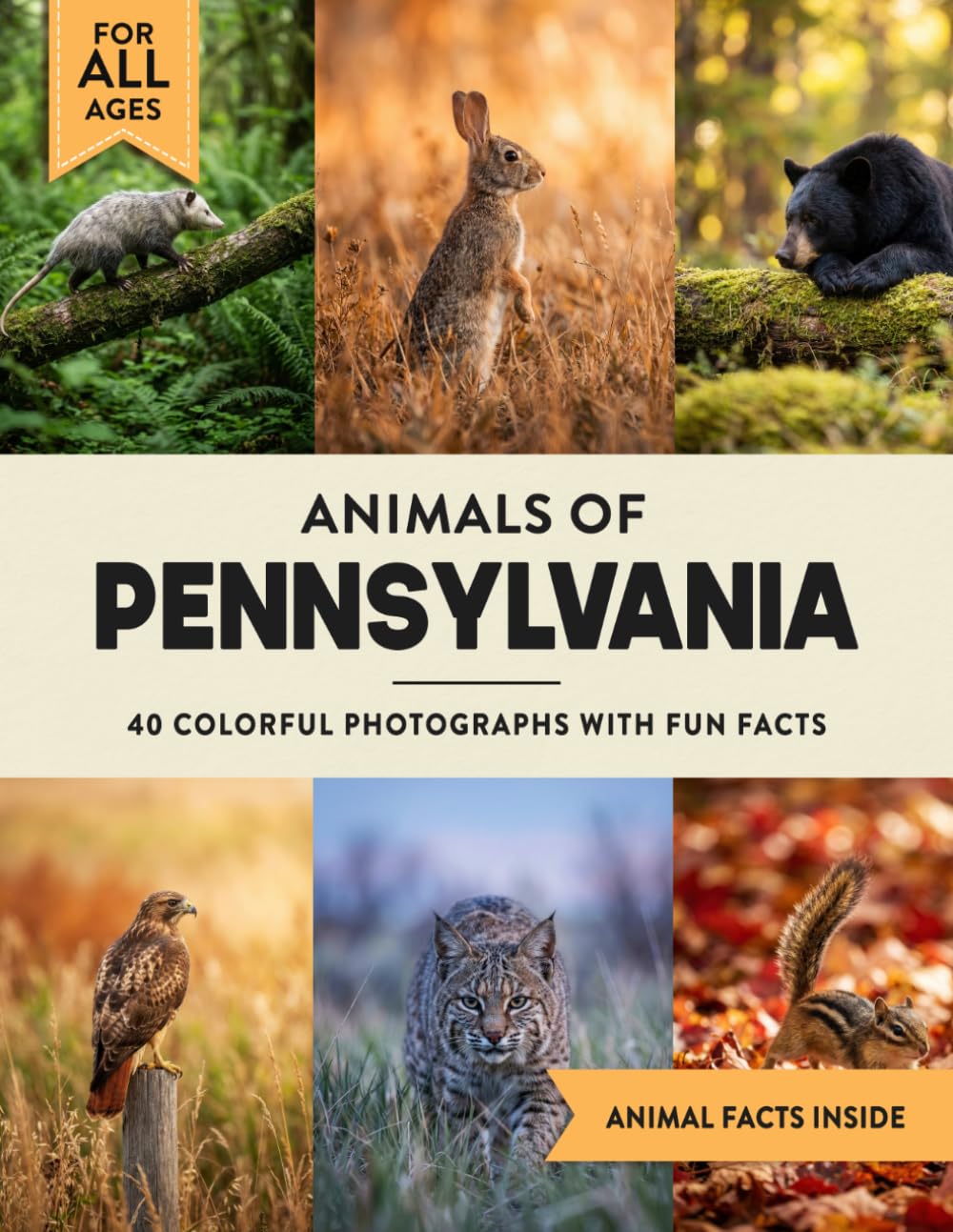 Animals of Pennsylvania: Learn All About Keystone State Wildlife in a Fun Fact Picture Book for Kids and Adults