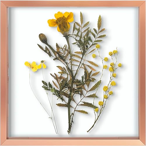 Vista 15 de Frametory, Marco de fotos flotante de 8 x 10 pulgadas, marco de fotos de metal de aluminio negro, cristal real de la parte delantera, para pantallas