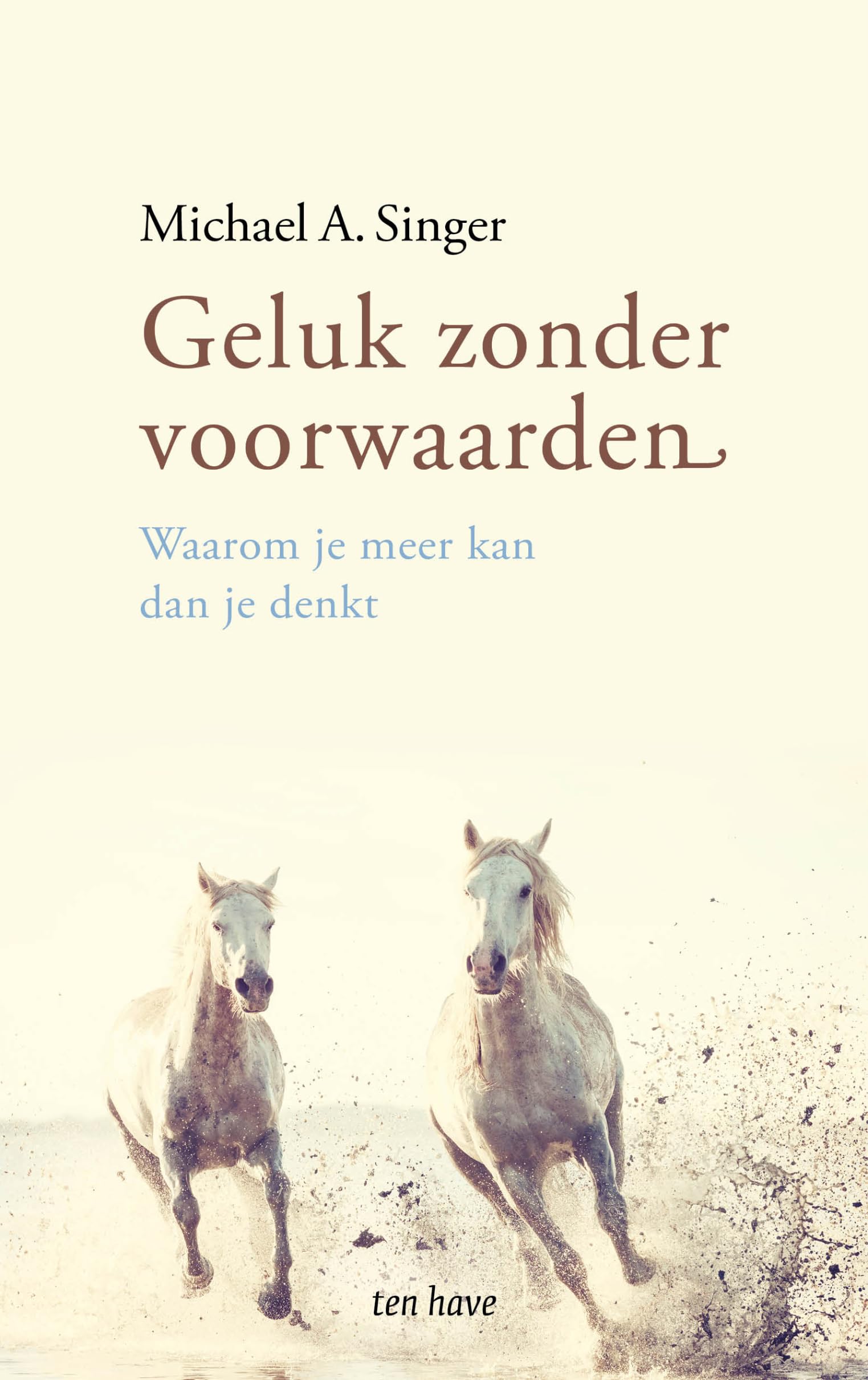 Geluk zonder voorwaarden: waarom je meer kan dan je denkt