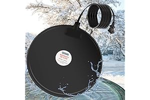 Bird Bath Heaters for Outdoors in Winter: Your Avian Winter Warriors