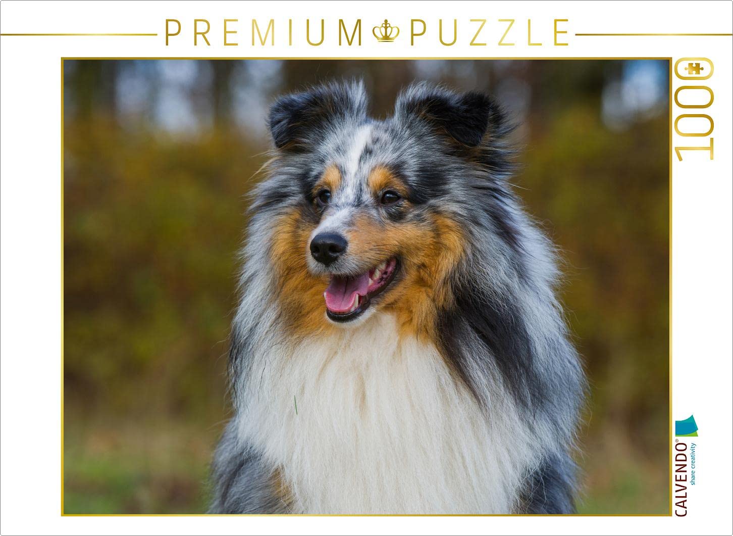 CALVENDO Puzzle Sheltie – 1000 Teile, 64x48 Cm Lege-Größe, Foto-Puzzle Mit Hundemotiv