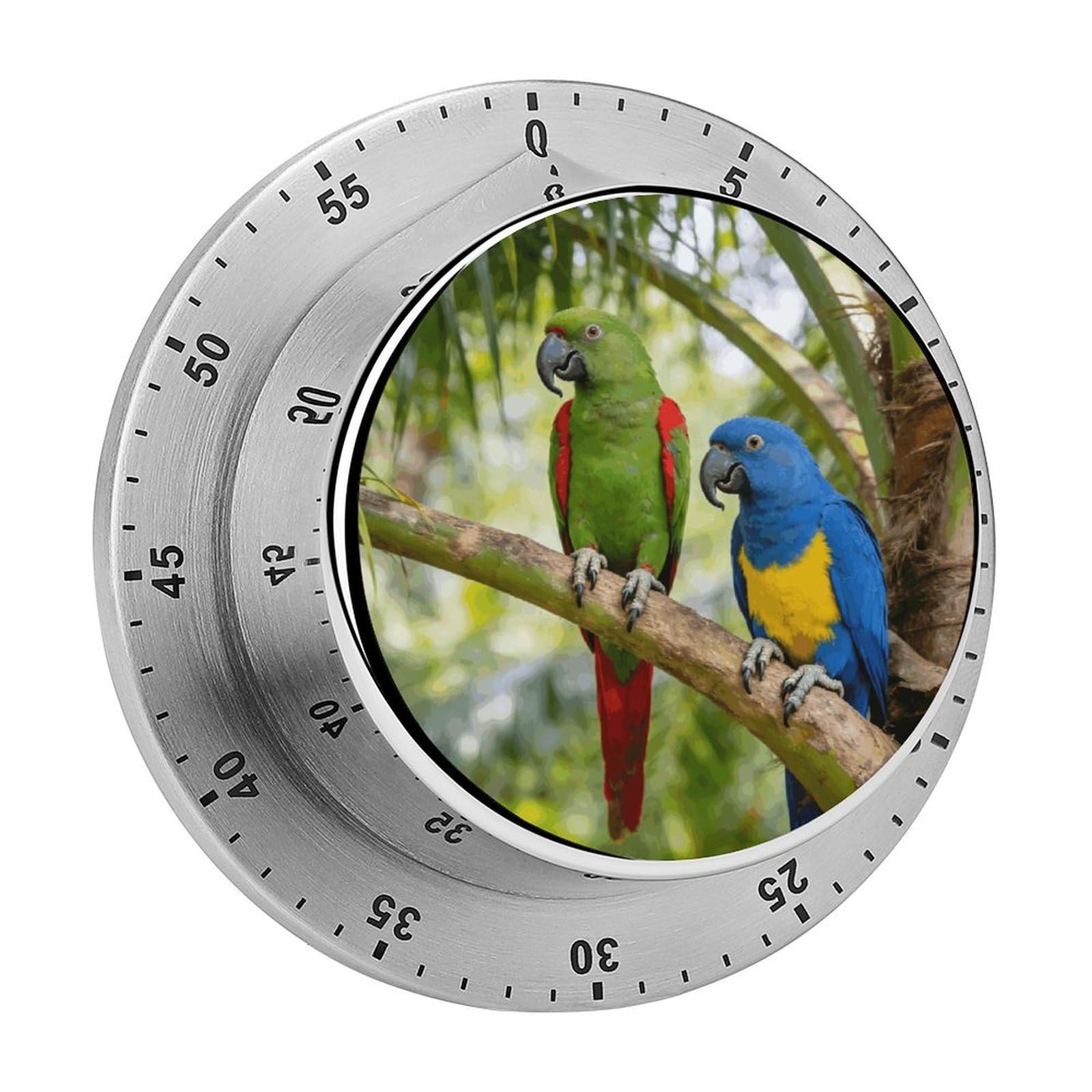 Rainforest Double Parrot Timer Exquisite Stainless Steel Body Desk Visual Timer with Loud Alarm 60-Minute Mechanical Countdown Timers Magnetic Backing Cooking Kitchen Timers for Work