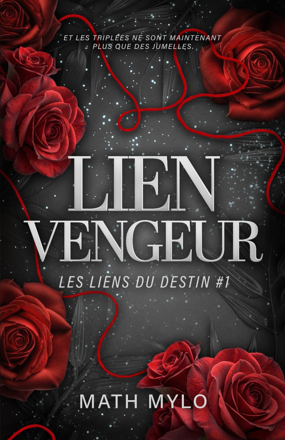 Lien vengeur: Les liens du destin tome 1