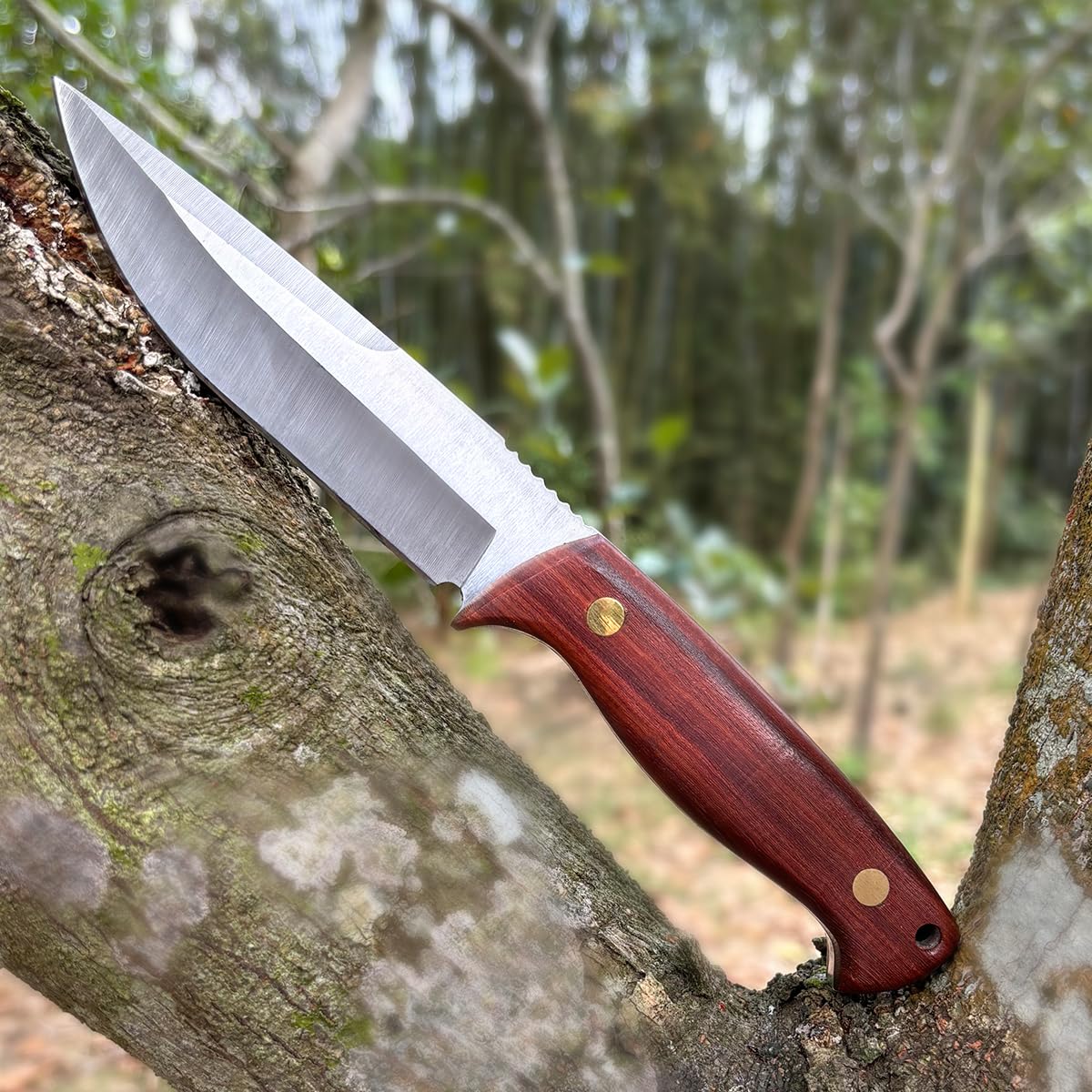 D2 Coltello da sopravvivenza affilato con squisita custodia in pelle, lama fissa, coltello di sopravvivenza ergonomico, manico in palissandro per campeggio all'aperto (Brown 01)