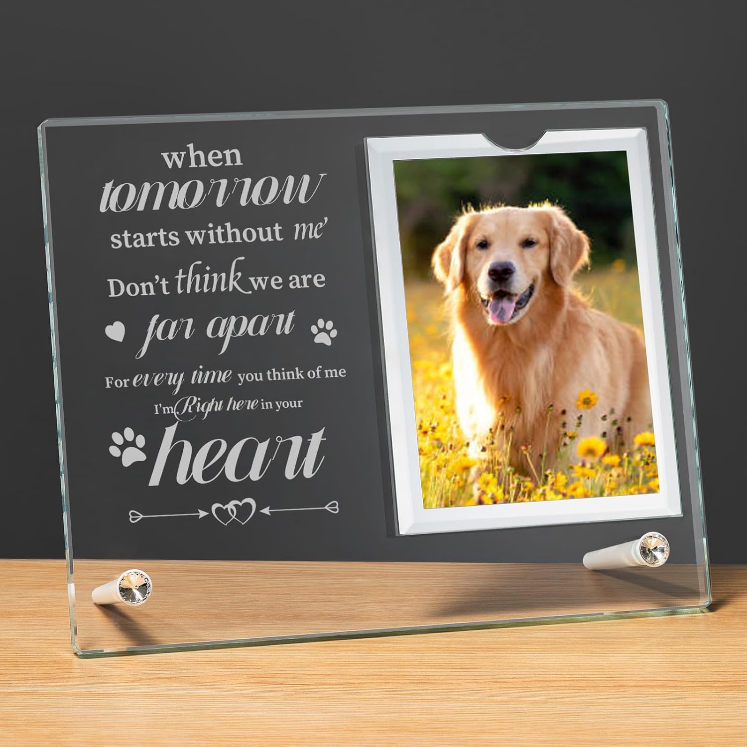 Pet Memorial Gifts for Loss of Dog Cat, Glass Picture Frames Plaque, Funeral Condolence Bereavement Remembrance Sympathy Gift, Personalized Keepsake for Grieving Friend, Display 4x6 Photos