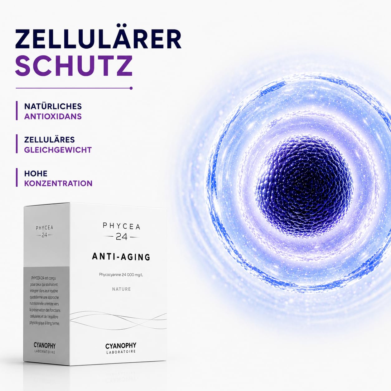 Französisches Premium-Phycocyanin 24000 mg/L – Langlebigkeit & Anti-Aging – Hochkonzentriert – Optimierte Dosierung – Blaue Spirulina – 100% Natürlich – Phycéa 24 (Apfel)