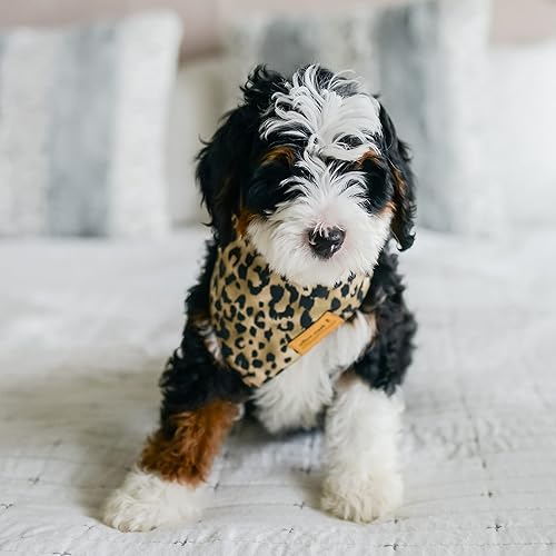 Miniatura 3 de Willow Creek Pet Apparel Pañuelo bandana para perros y cachorros  Paquete de 2 estampados de animales  Tela duradera de doble capa  Lindo y moderno