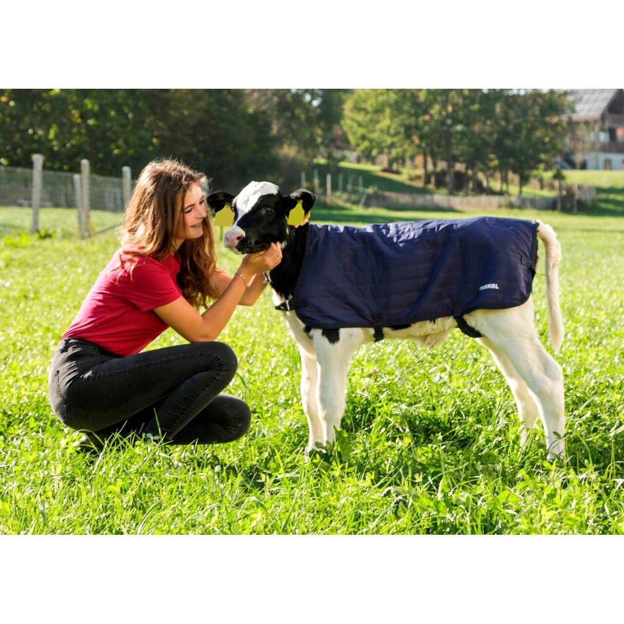 Kälberdecke EasyWear, leichte Ausführung, 70cm