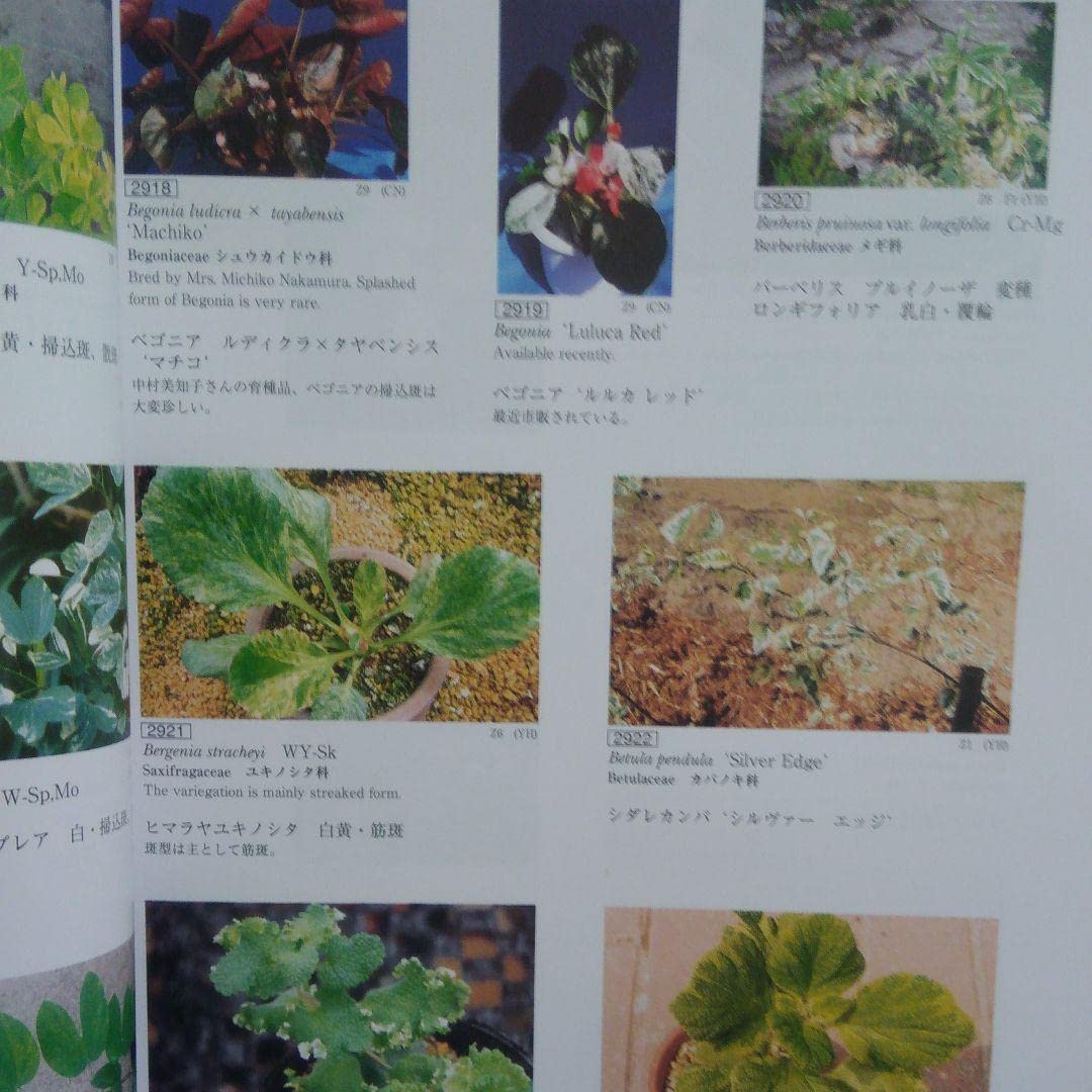 斑入植物集　全３巻セット 斑入植物集 第3巻 | 珍しい植物の図鑑 - 植木農家のお店 通販は