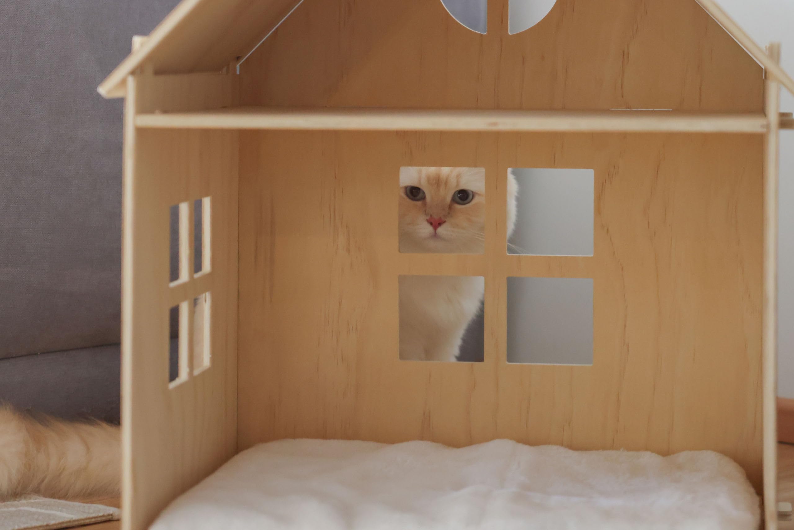 KERBL PET Casetta gatti Yvi, Indoor, 50x38x67 cm