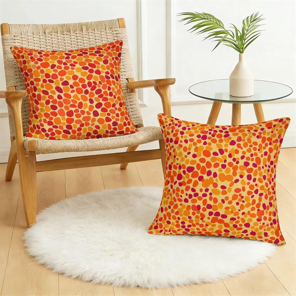 Federe Cuscini da Esterno Impermeabili 65x65 Arancione Copri Cuscini per Divano Astratto Federa Cuscino Moderno Decorativi Copricuscini per Divano Giardino Soggiorno Copricuscino Set di 2 (IU331)