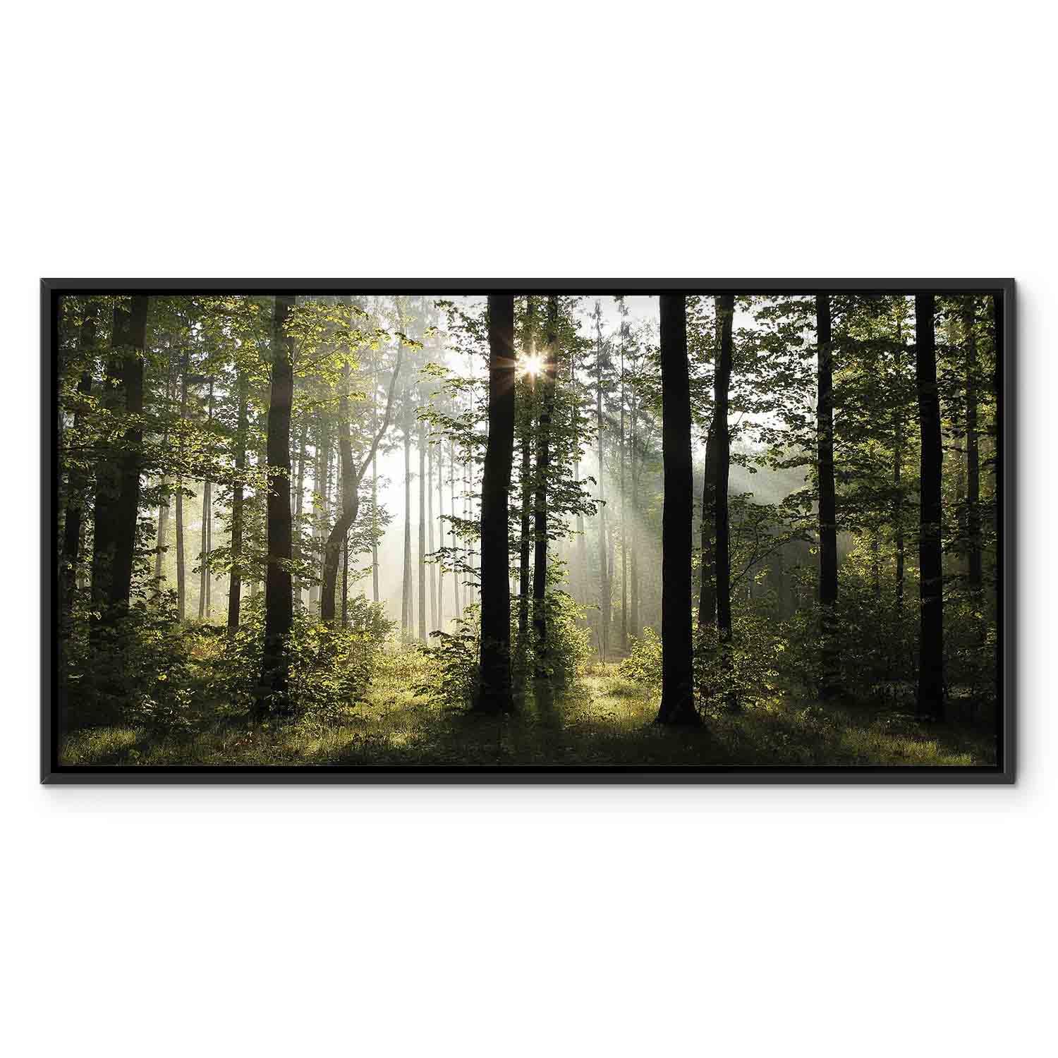 murando - Leinwandbild Wald schwarzer Holzrahmen, 140x70 cm, Schlafzimmer | Hochwertige Leinwand, sofort aufhängbar, ideal fürs Wohn- oder Schlafzimmer, wasserfest und lichtecht, langlebig, stilvoll