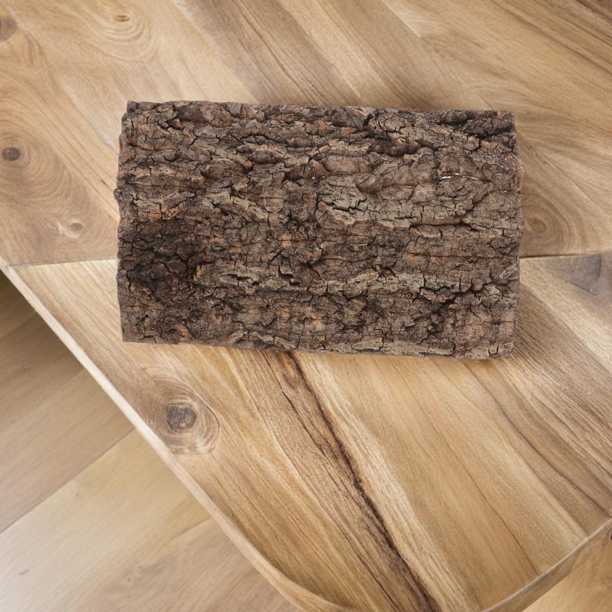 GLEAVI 2 Stück Natürliche Korkrinden Hintergrundplatten für Reptilien Terrarien mit Natürlicher Ästhetik und Widerstandsfähigem Material für Einsiedlerkrebse und Schlangen in Heim
