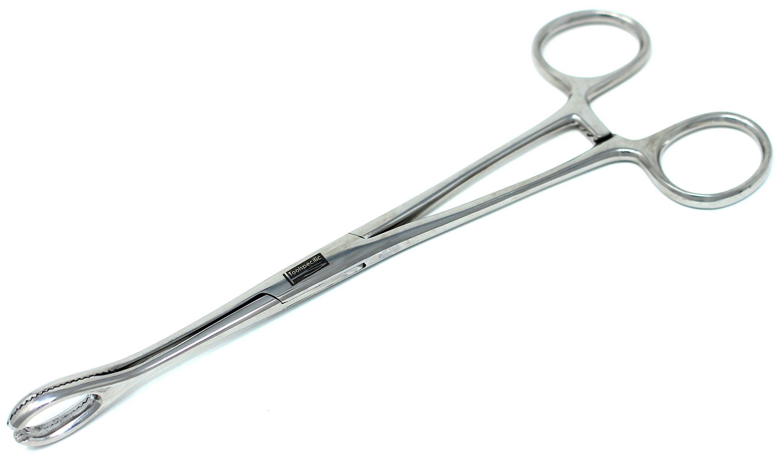 Toolspecific18cm [7"] Large Round Ends 'Force' Body Piercing Holders [with Slots] : Toolspecific® Tools