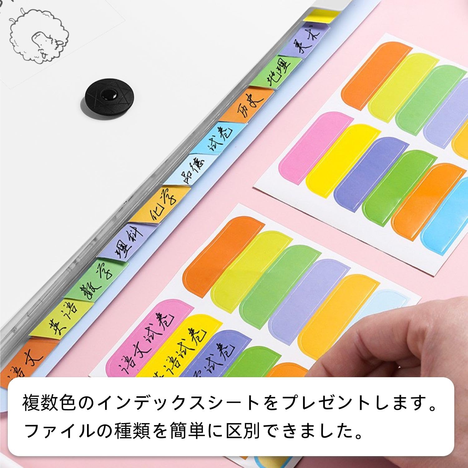 軟質蛇腹ファイル/パリパリ音♬カサカサ音♬′- Amazon | ドキュメントファイル A4 8仕切り 2本セット 蛇腹 ファイル
