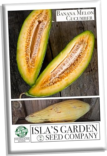 Semillas de pepino de melón de plátano, exóticas y raras, más de 120 semillas de reliquia por paquete, semillas de jardín de Isla (semillas de